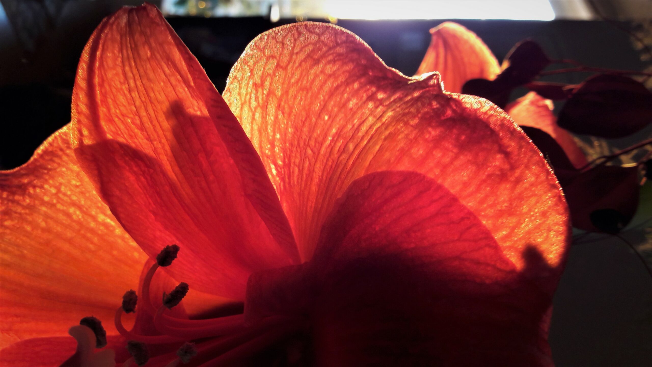 Hypnose Therapie in Bayreuth – Hilfe bei Stress und innerer Unruhe